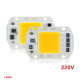 220V 50W Power Led Warm White