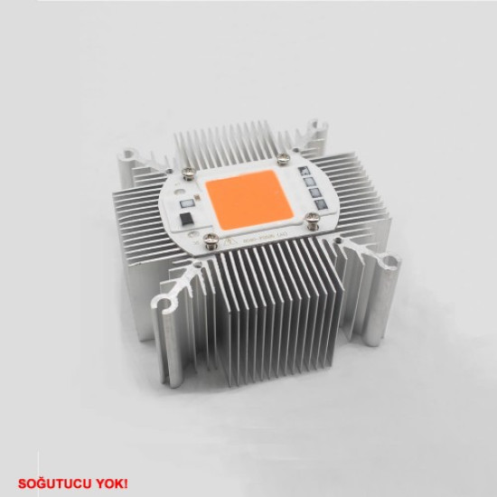 220V 50W Power Led Warm White