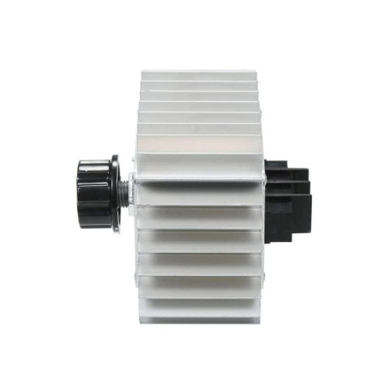 Dimmer AC 220V 5000W