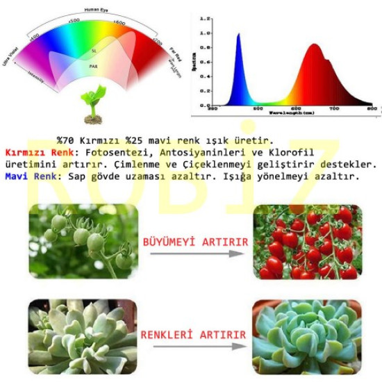 220V 50W Bitki Büyütme Ledi