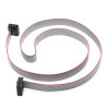 70cm 10 Pin IDC Flat Kablo