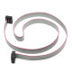 70cm 10 Pin IDC Flat Kablo