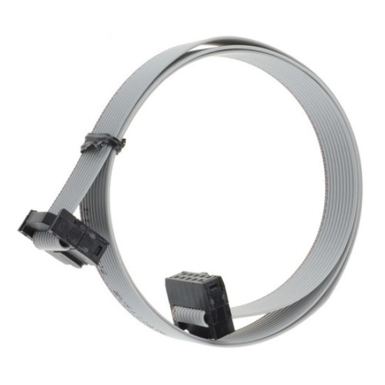 70cm 10 Pin IDC Flat Kablo