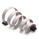 70cm 10 Pin IDC Flat Kablo
