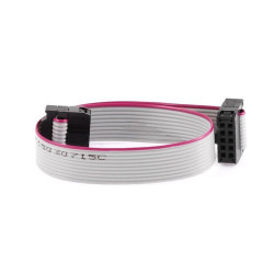 20cm 10 Pin IDC Flat Kablo